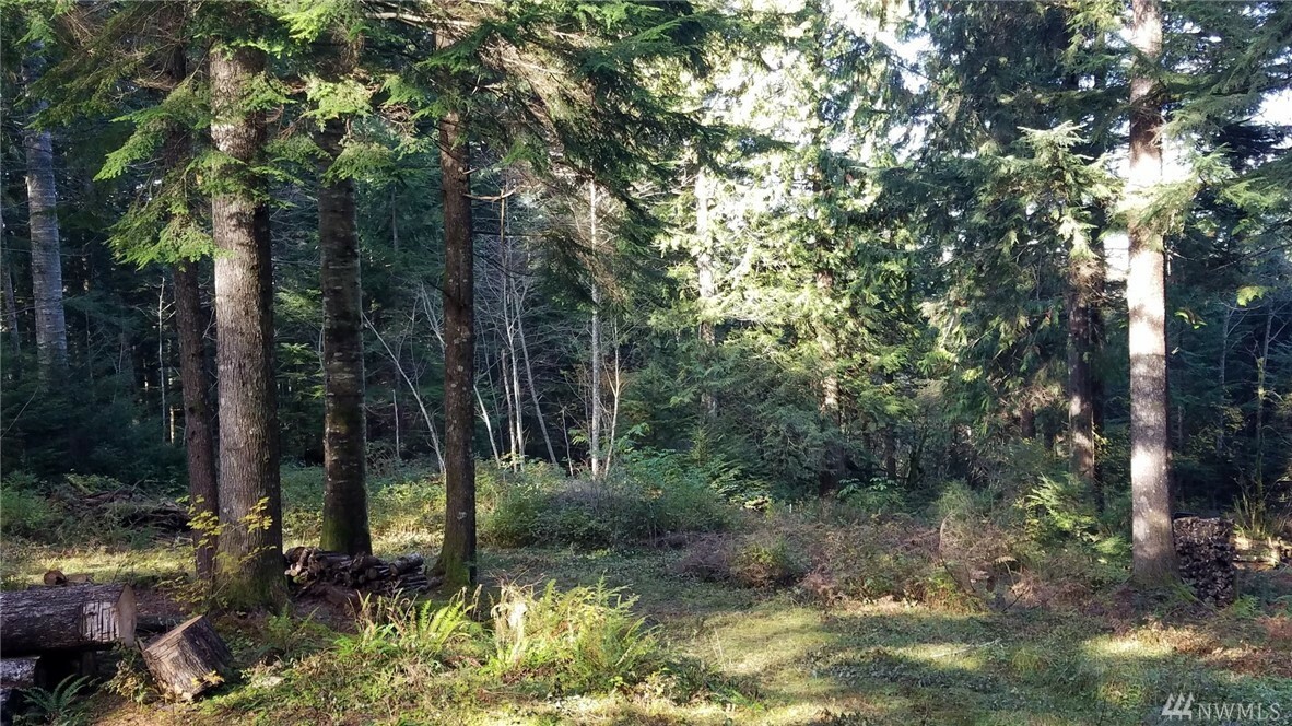 Property Photo:  375 Xx SE 191st St  WA 98038 