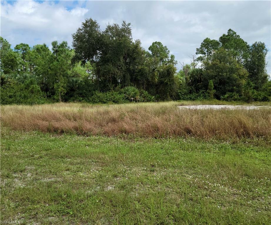 Property Photo: 809 Cadis Street E FL 33974