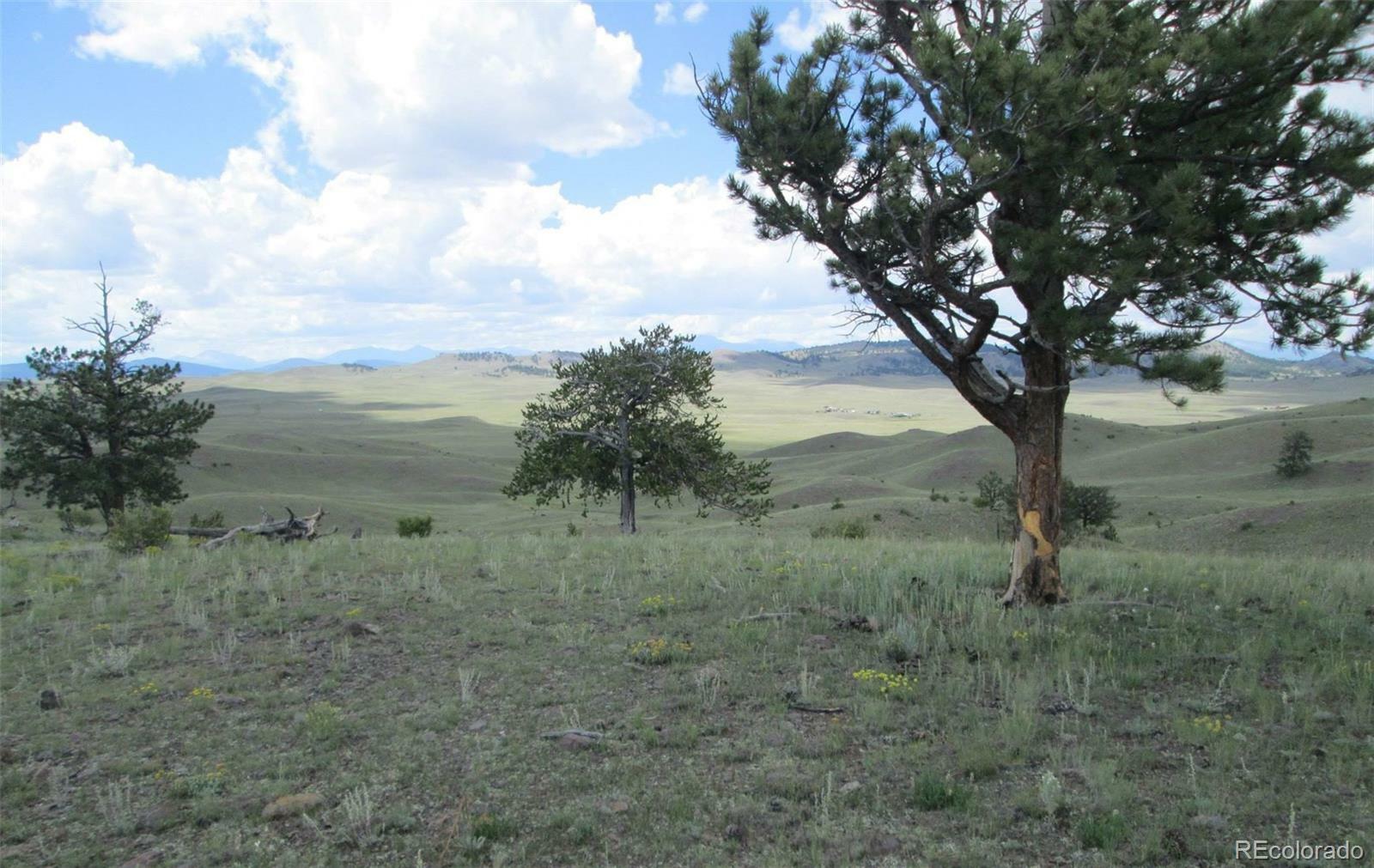 Property Photo:  Leonardo Lane  CO 80449 