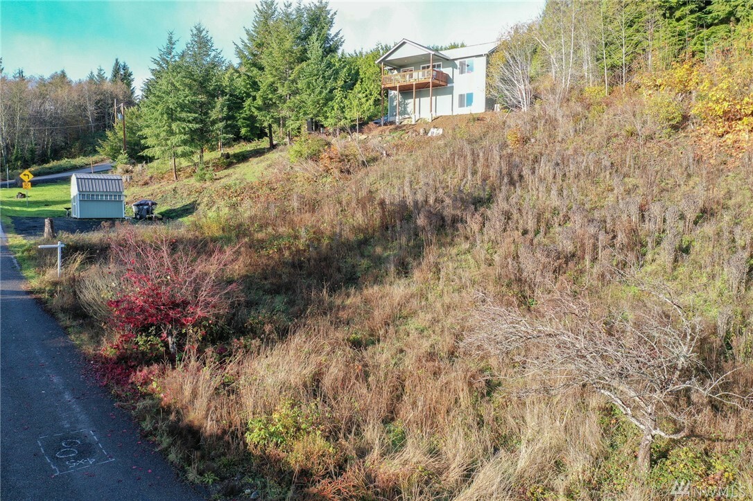 Property Photo:  41 N Mardell Ave  WA 98548 