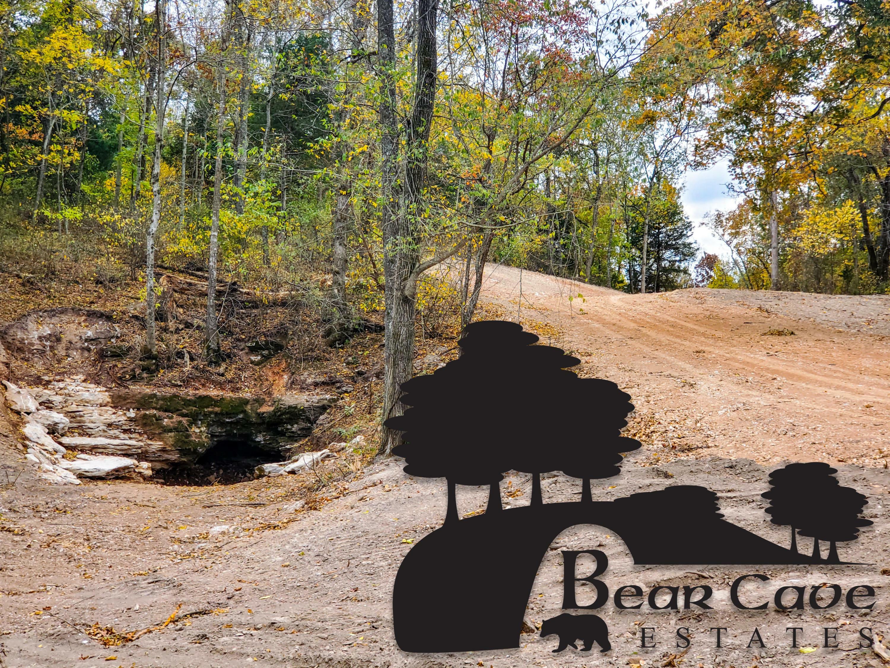 Property Photo:  Lot 15 Bear Cave Estates  MO 65705 