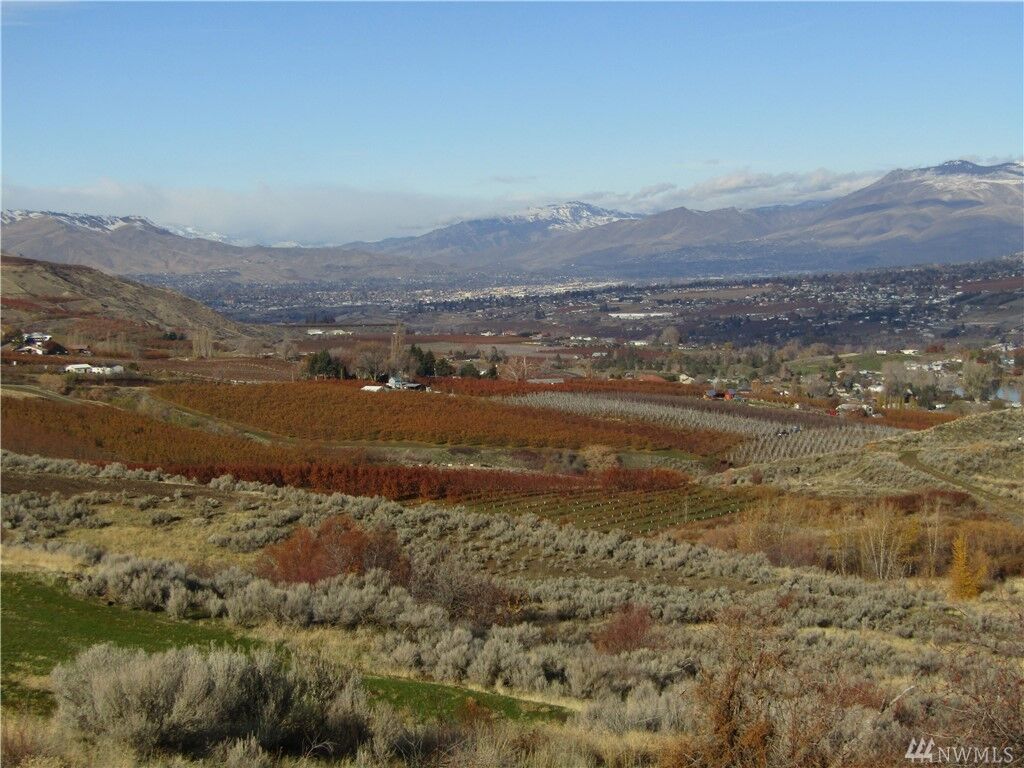 Property Photo:  0 Joe Miller Rd  WA 98828 