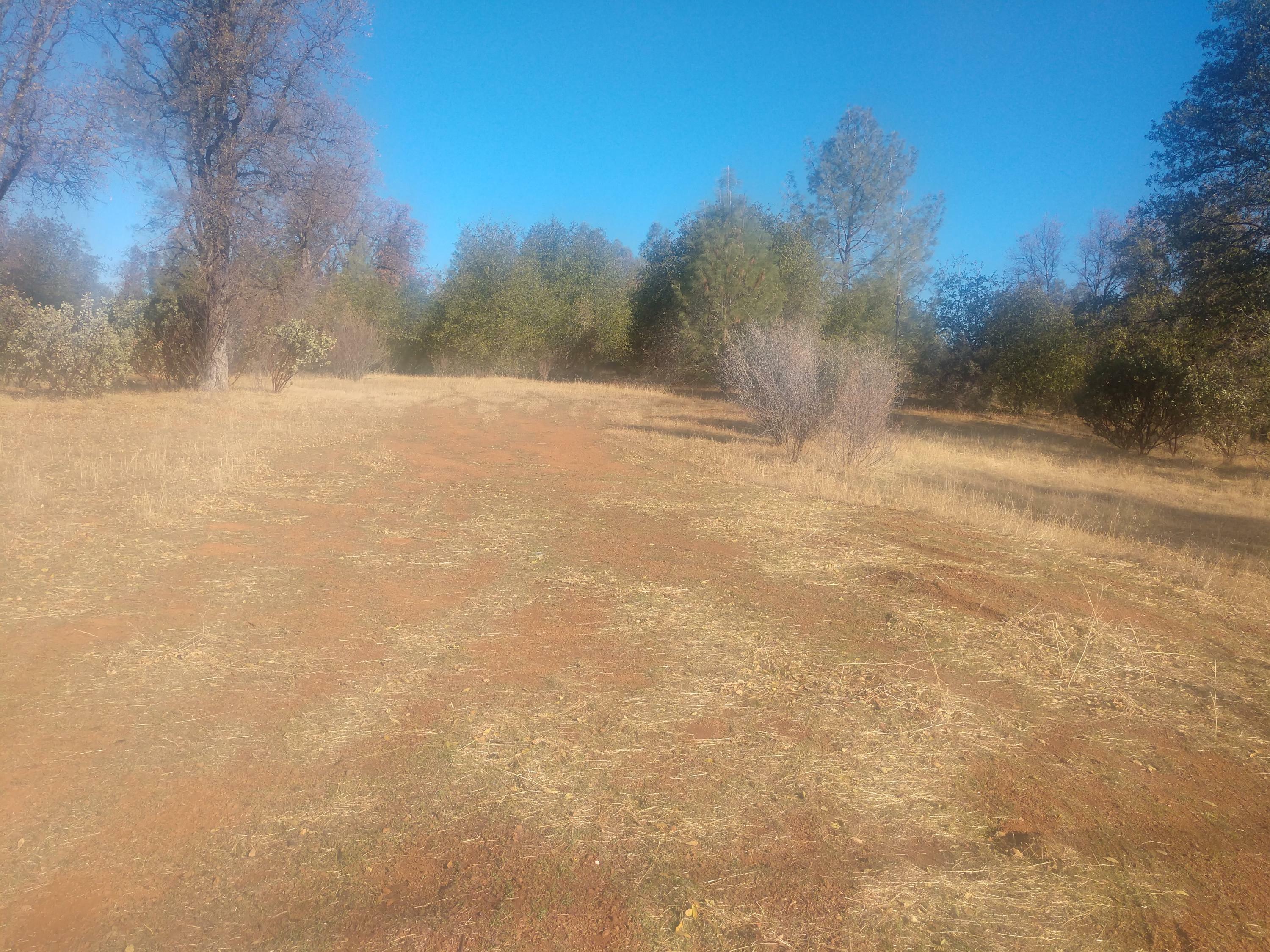 Property Photo:  Elk Trail East  CA 96003 