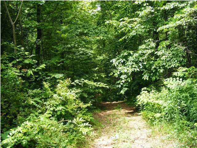 Property Photo: 0 Mt Olive Road GA 30750