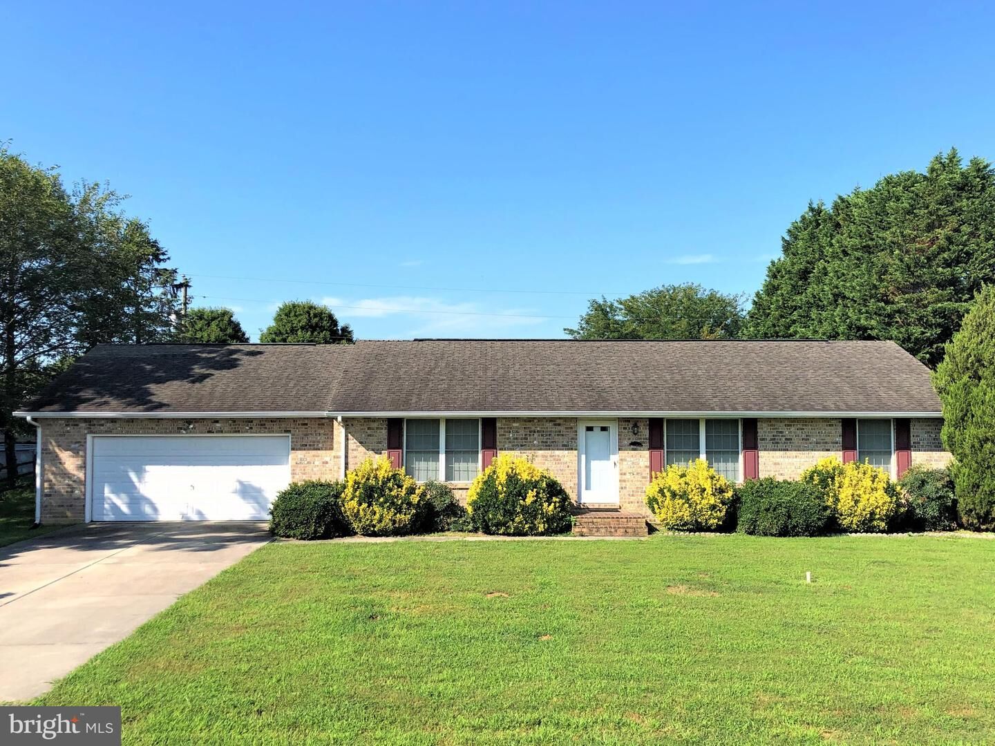 Property Photo:  18318 Pine Lane  DE 19958 