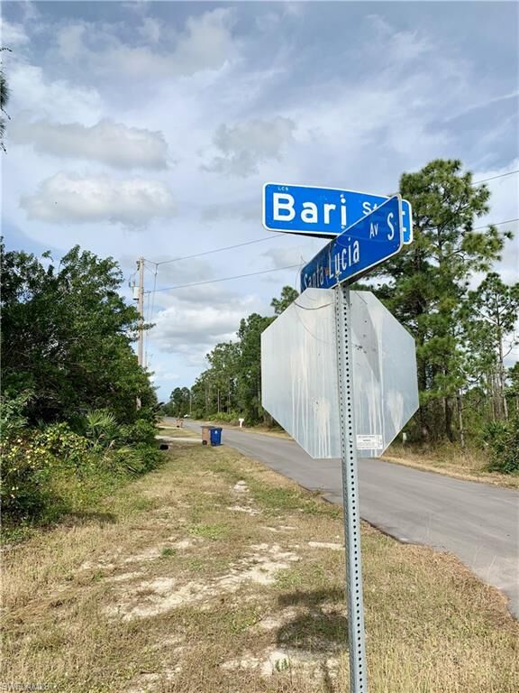 Property Photo:  729 Santa Lucia Avenue S  FL 33974 