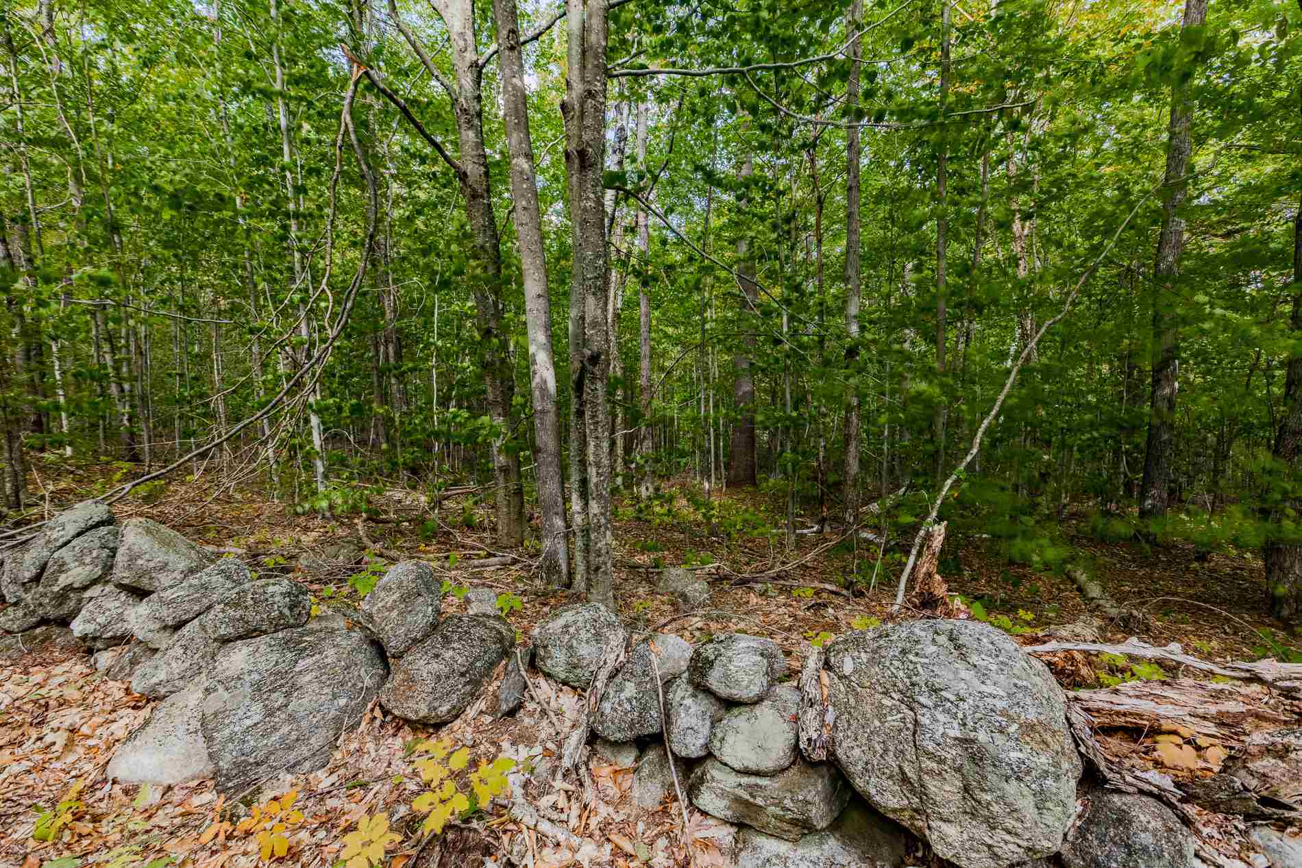 Property Photo:  Lot 7 North Wilmot Road  NH 03287 