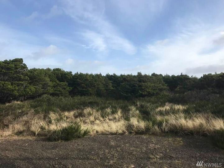 2082 Gray Gull Lane  Westport WA 98595 photo