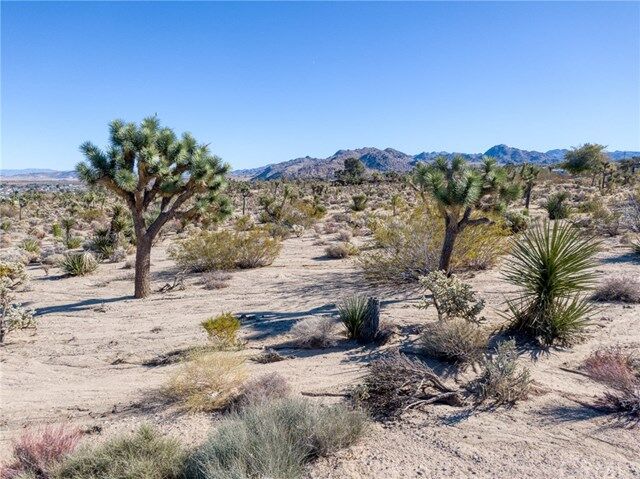 Property Photo:  1234 Juniper Road  CA 92252 