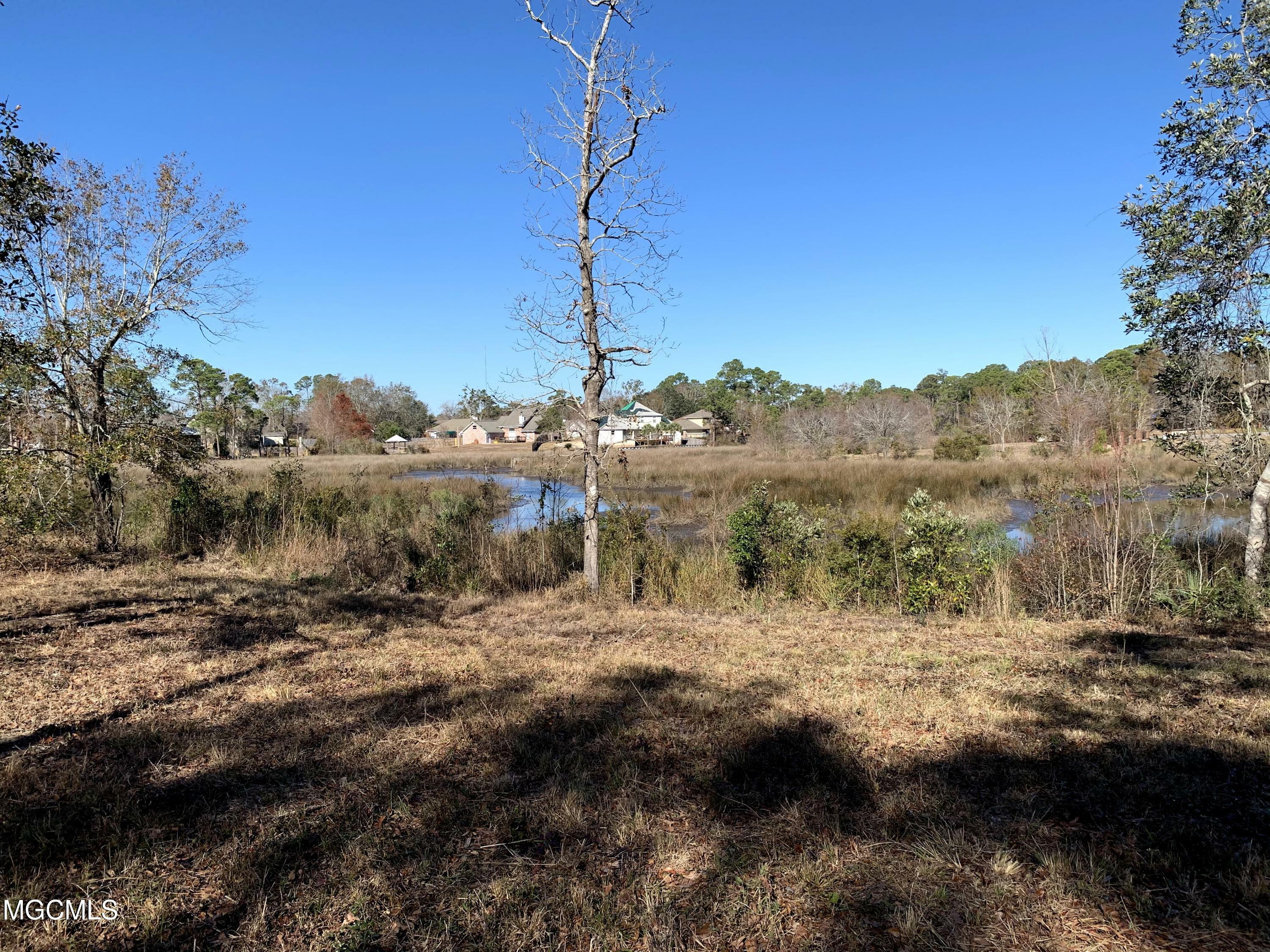 Property Photo: Lot 16 Wetzel Drive MS 39532
