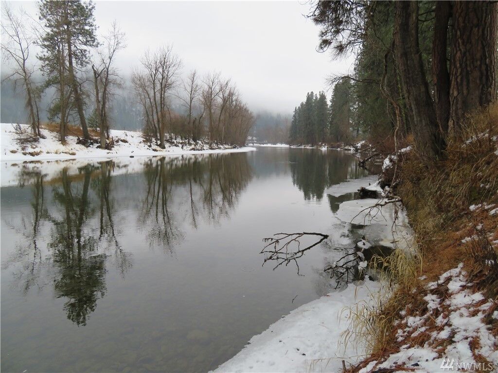 Property Photo: Lot 8 Highway 21 N WA 99121