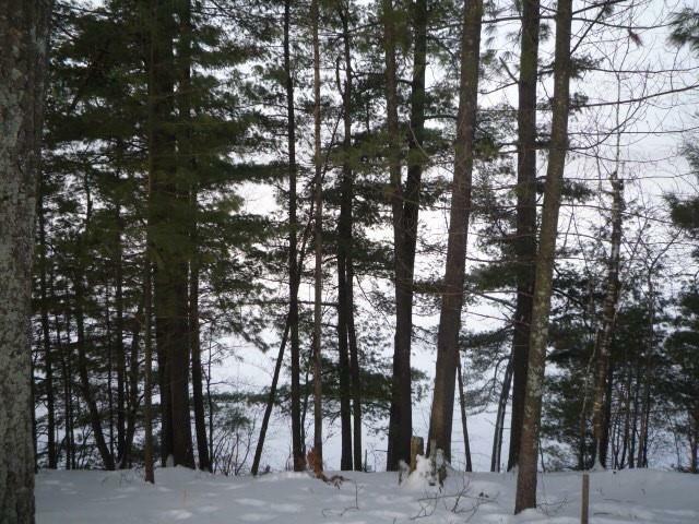 Property Photo: Lot 1 Elver Road WI 54817
