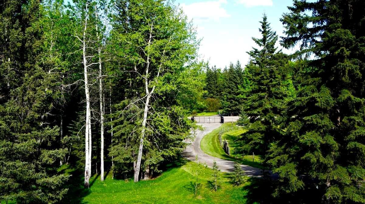 Property Photo: 215 Wintergreen Road AB T0L 0K0