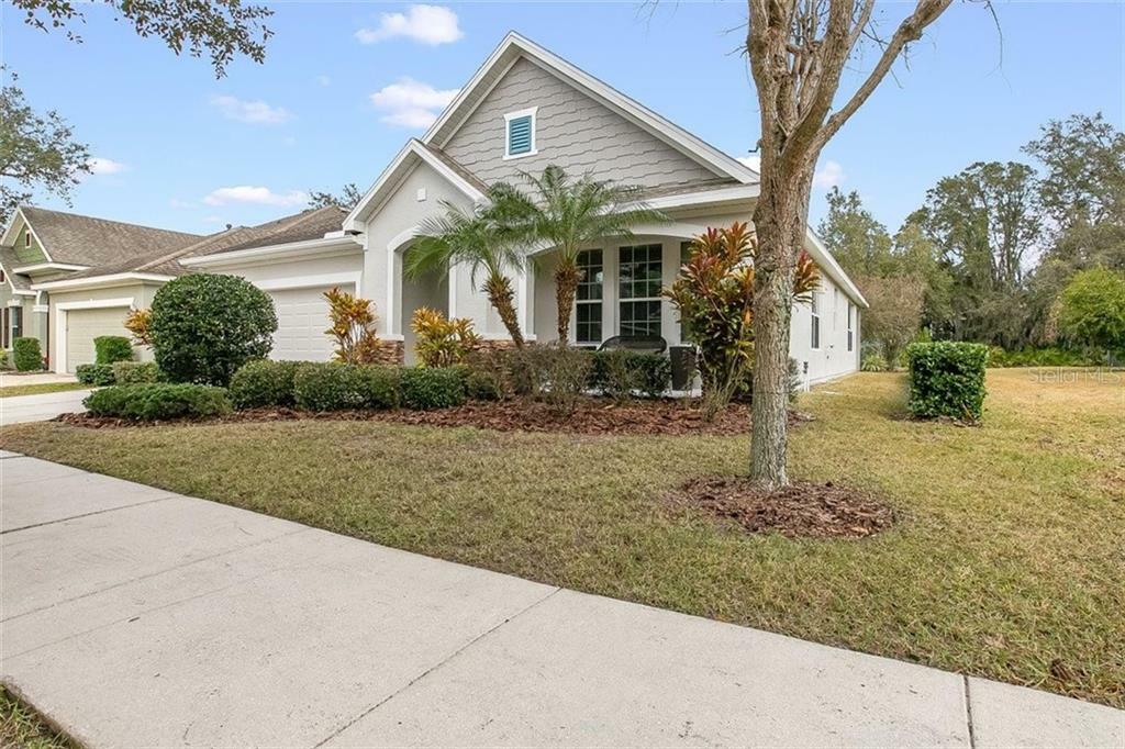 Property Photo:  15816 Starling Water Drive  FL 33547 