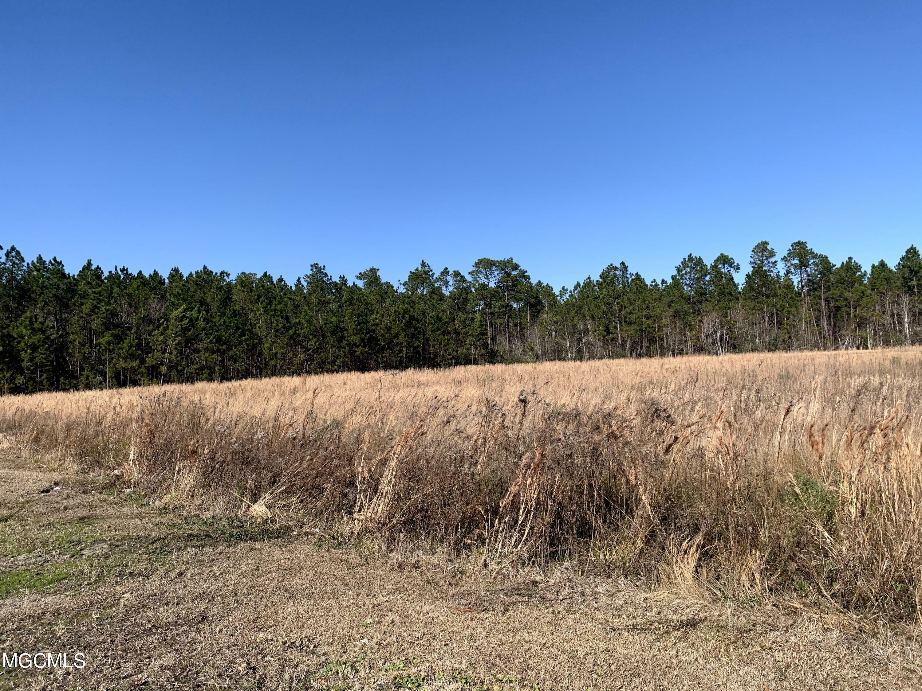 Property Photo:  10 Acres Highway 603  MS 39520 