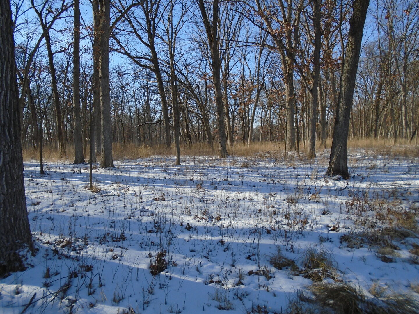 Property Photo:  14190 Mettawa Woods Drive  IL 60045 