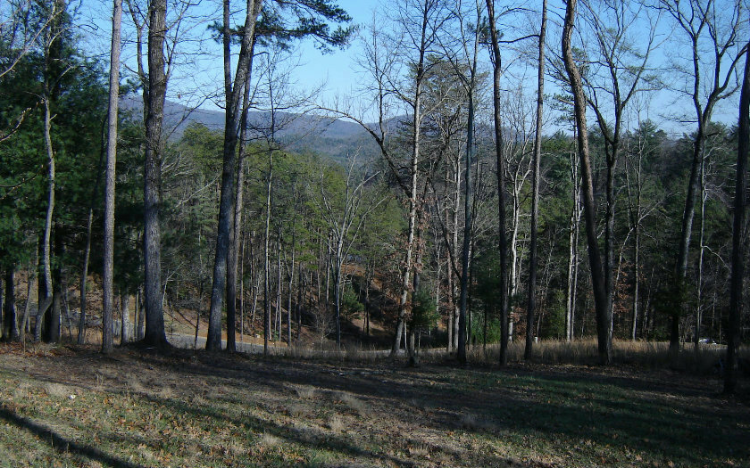 Property Photo:  Lt 14 Vista Heights  GA 30540 