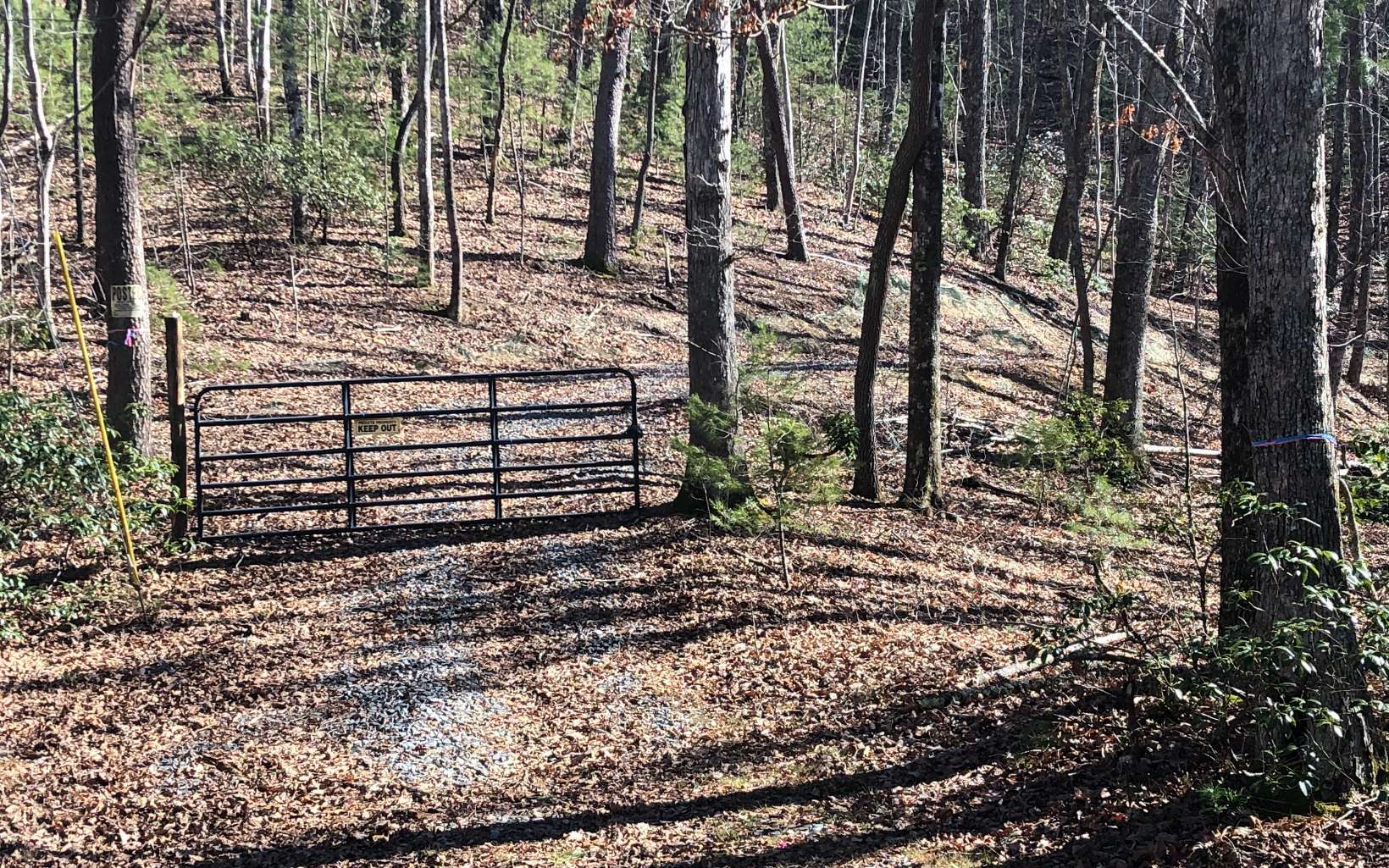 Property Photo:  5.5ac Pig Trail  GA 30522 