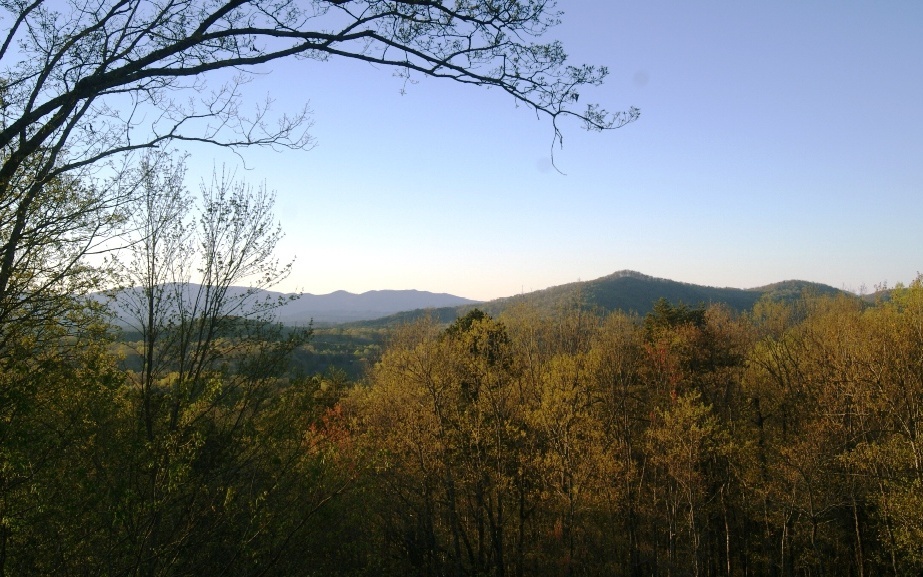 Property Photo:  Trt 1 Cinnamon Bear Road  GA 30559 