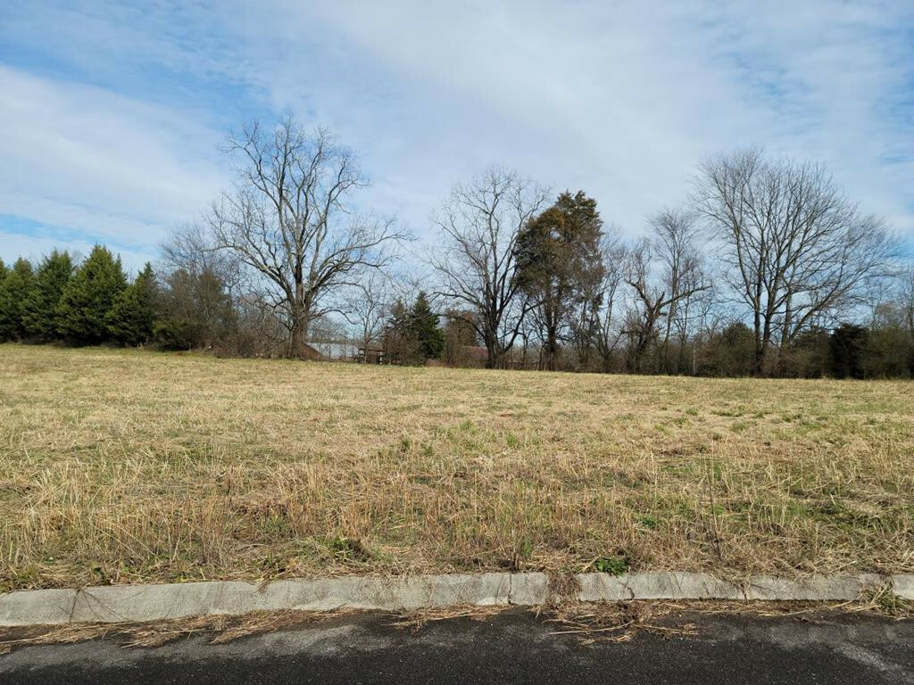 Property Photo: Lot 9 Meadow Lawn Drive TN 37329