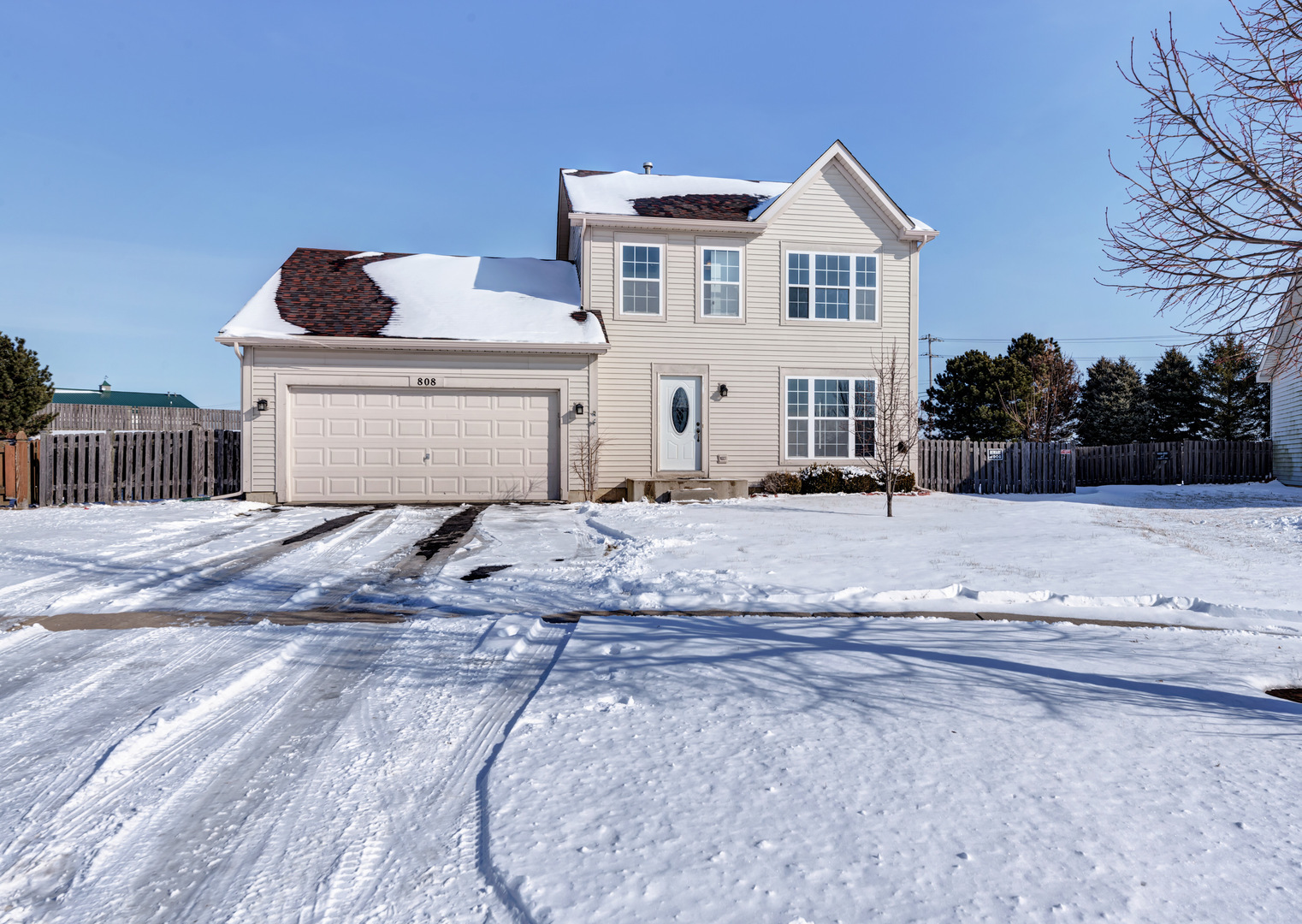 Property Photo:  808 Dillow Court  IL 60545 