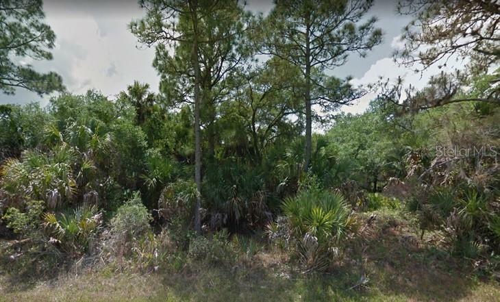 Property Photo:  14148 Mary Jo Avenue  FL 33953 