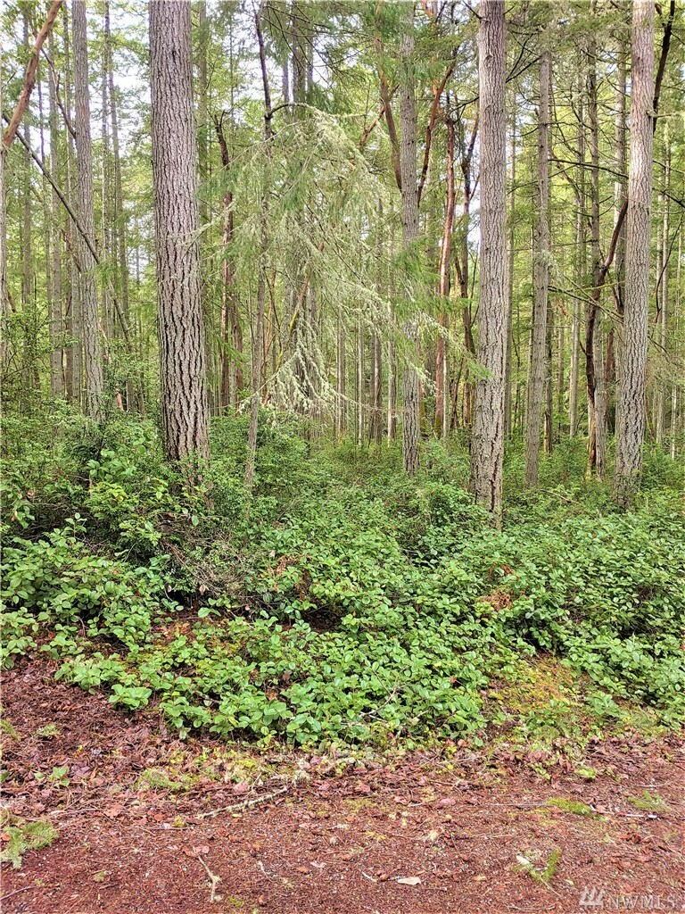 Property Photo:  8904 126th Av Ct  WA 98303 