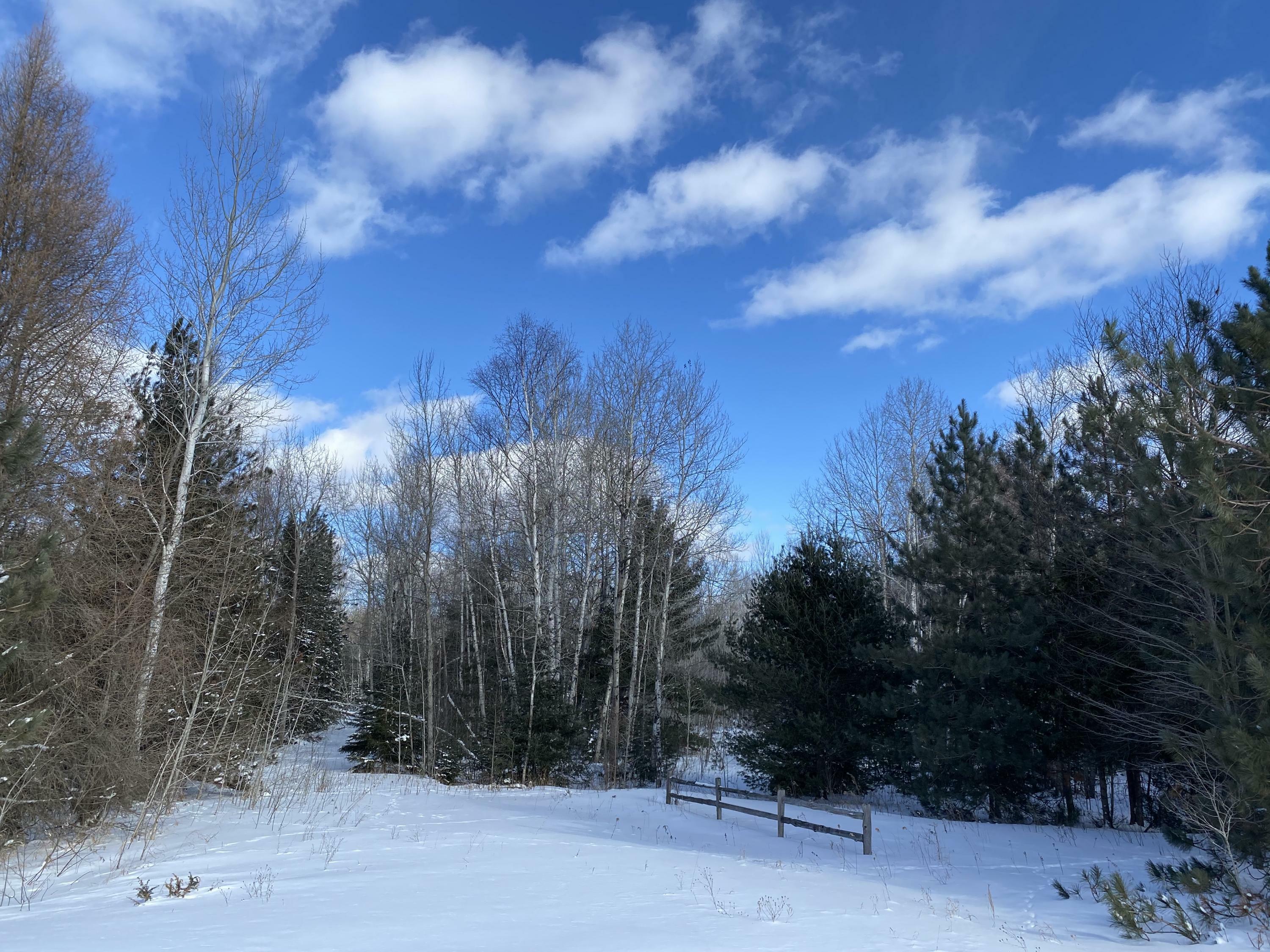Property Photo:  15387 Par Four Drive  MI 49799 