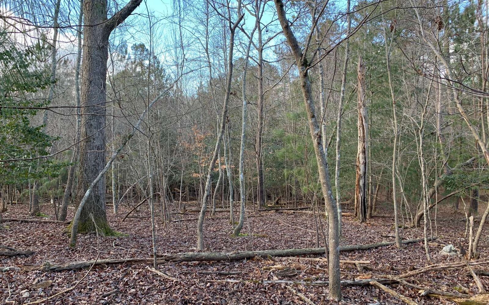 Property Photo:  Lt420 Villa Drive  GA 30540 