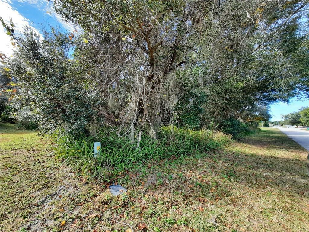 Property Photo:  2801 Summerfield Street  FL 32738 