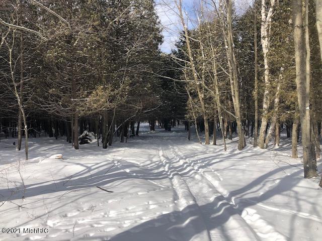 Property Photo:  4999 11 Mile Road  MI 49340 