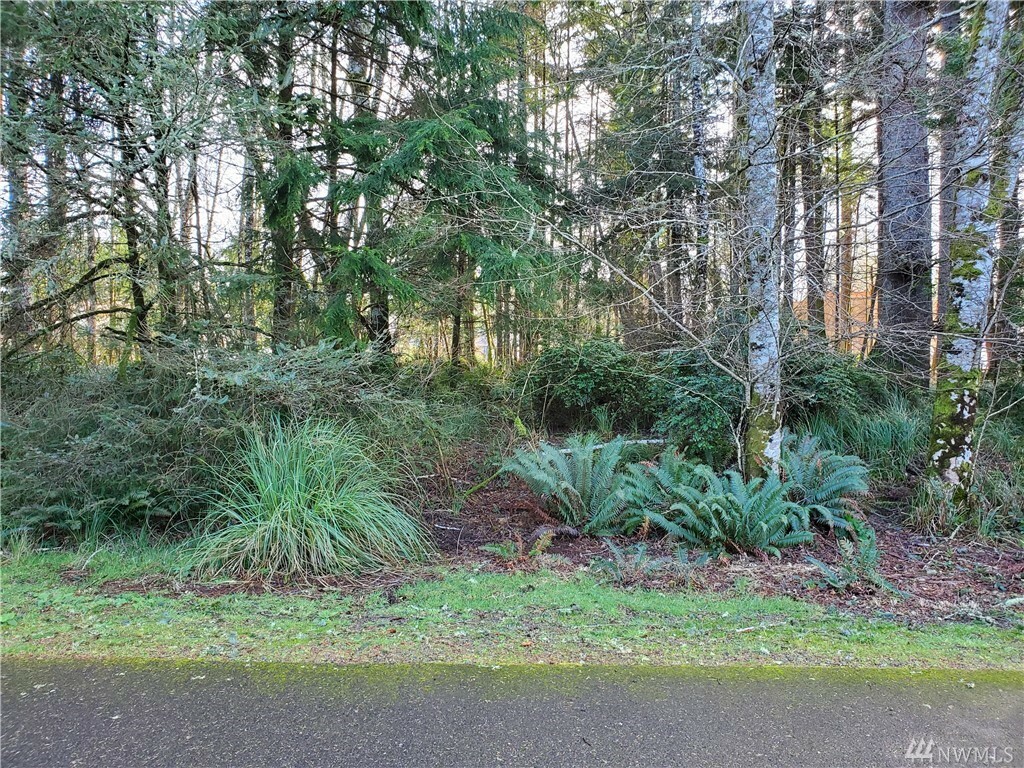 Property Photo:  287 Pearsall St SE  WA 98569 