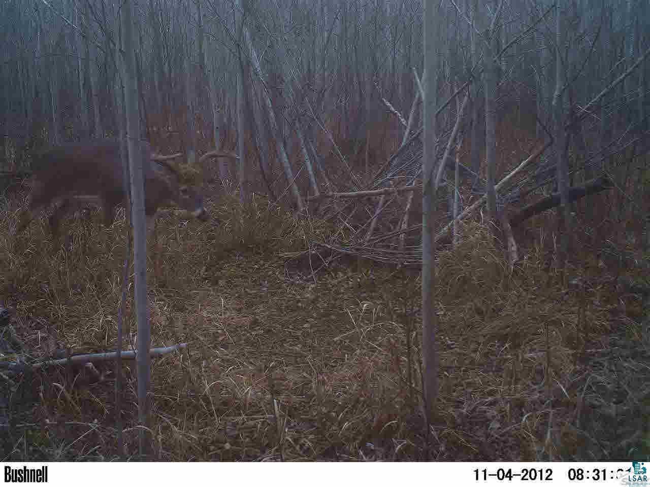 Property Photo: 000 Deswart Rd WI 54844