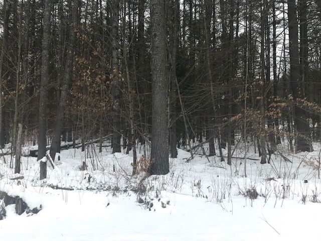 Property Photo:  Lot 36 Pickard Road  NH 03224 