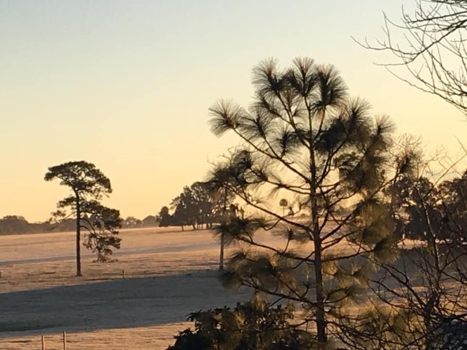 Property Photo:  32736 Wolfs Trail  FL 32776 