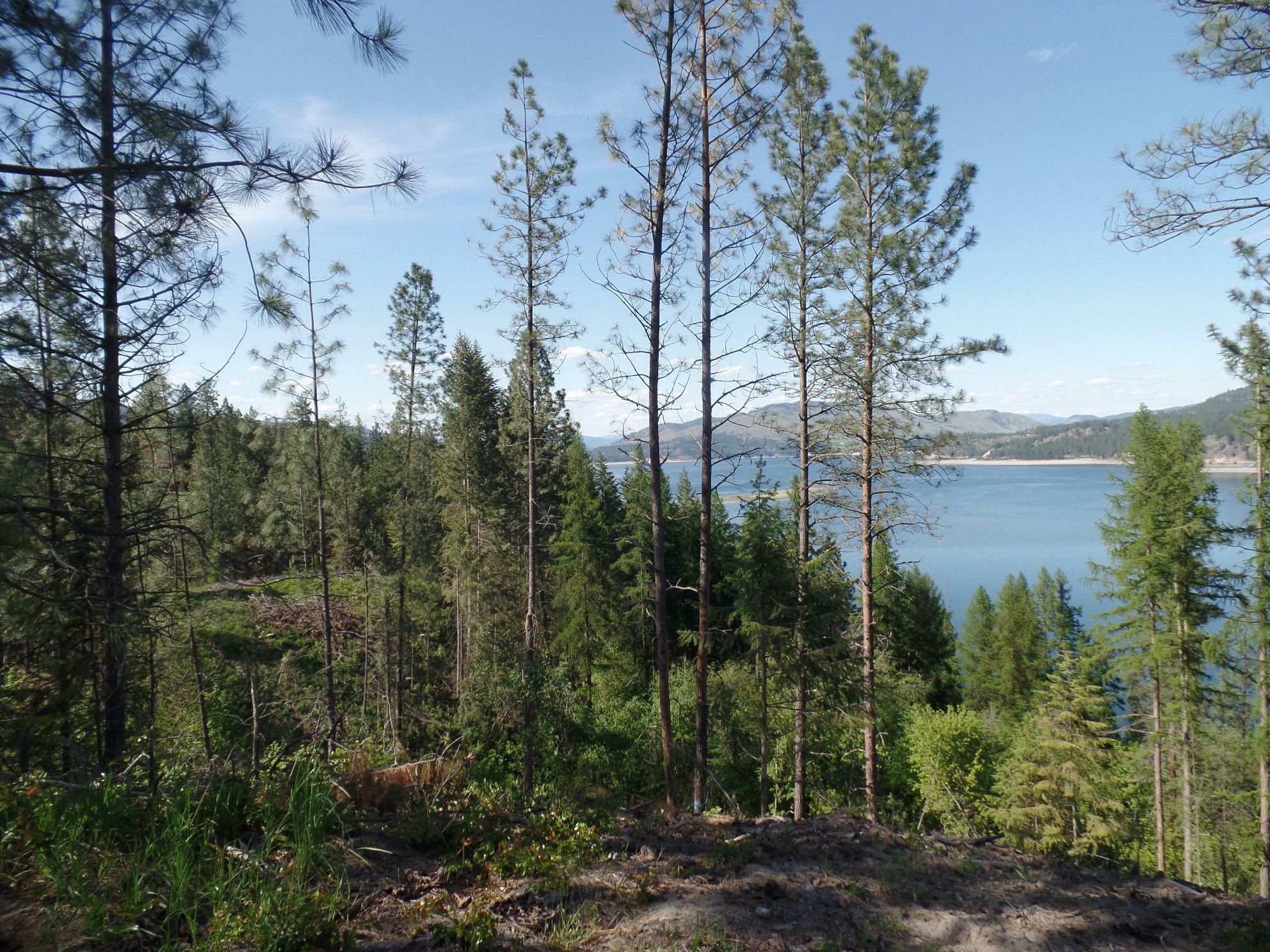 Lot 26 Pine Bluff Rd  Kettle Falls WA 99141 photo