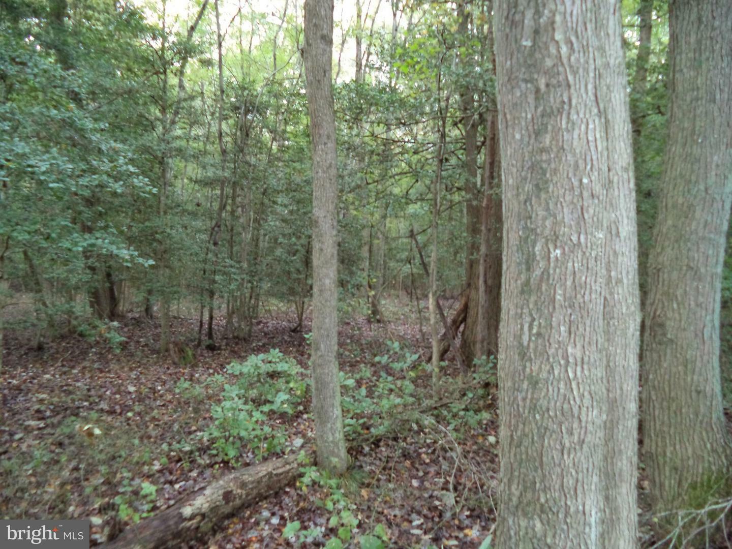 Property Photo:  0 McCabes Corner Road  MD 21863 