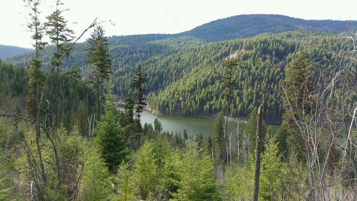 Property Photo:  2904 B Deep Lake Boundary Rd  WA 99114 