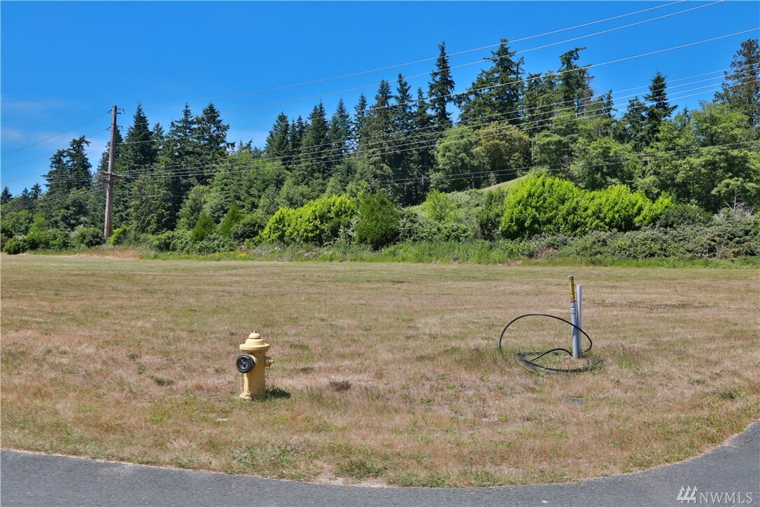 Property Photo: Lot 8 Cambridge Ct WA 98260