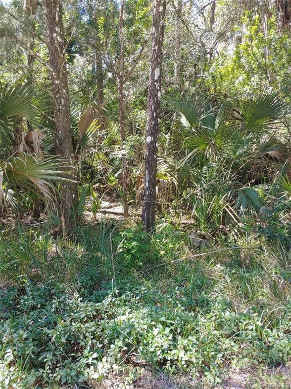 1142 S Blalock Way  Crystal River FL 34429 photo