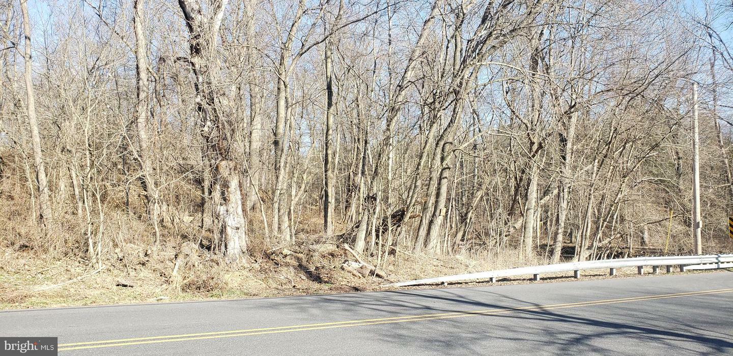 Property Photo:  Lot #2 Old Route 15  PA 17372 