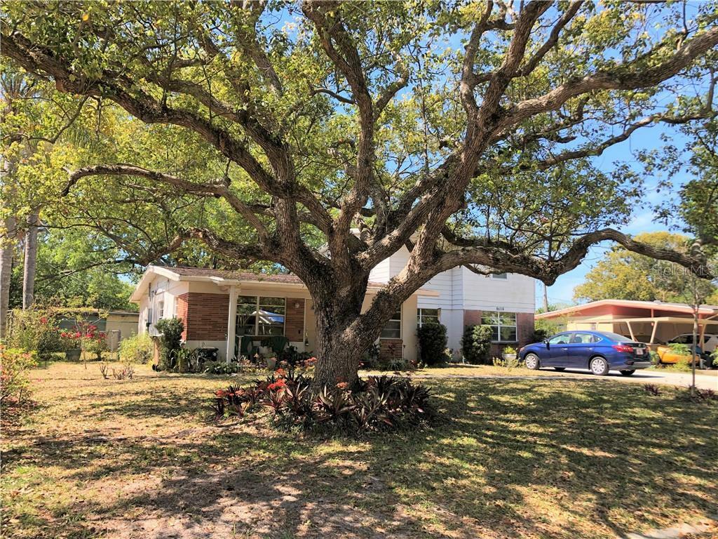 Property Photo:  8608 Grandview Drive  FL 33617 