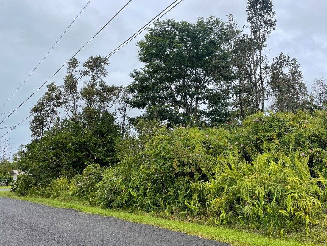 Property Photo:  16-2051 Hale Wy  HI 96778 