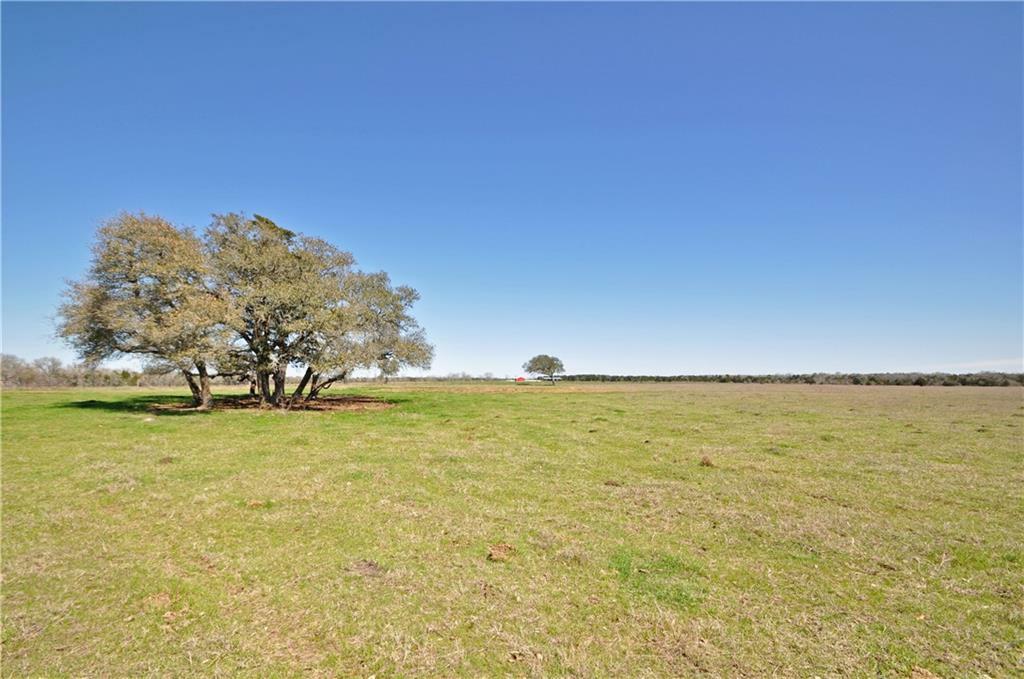 Property Photo:  000 Zimmerhanzel (Lot 1B) Road  TX 78957 