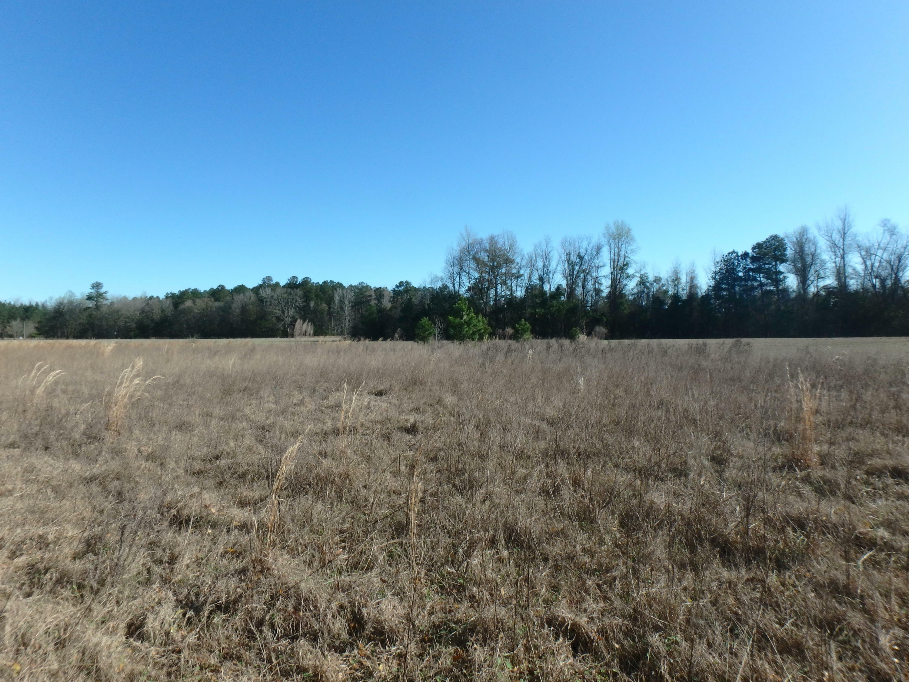 Property Photo:  000 Augusta Hwy  SC 29481 