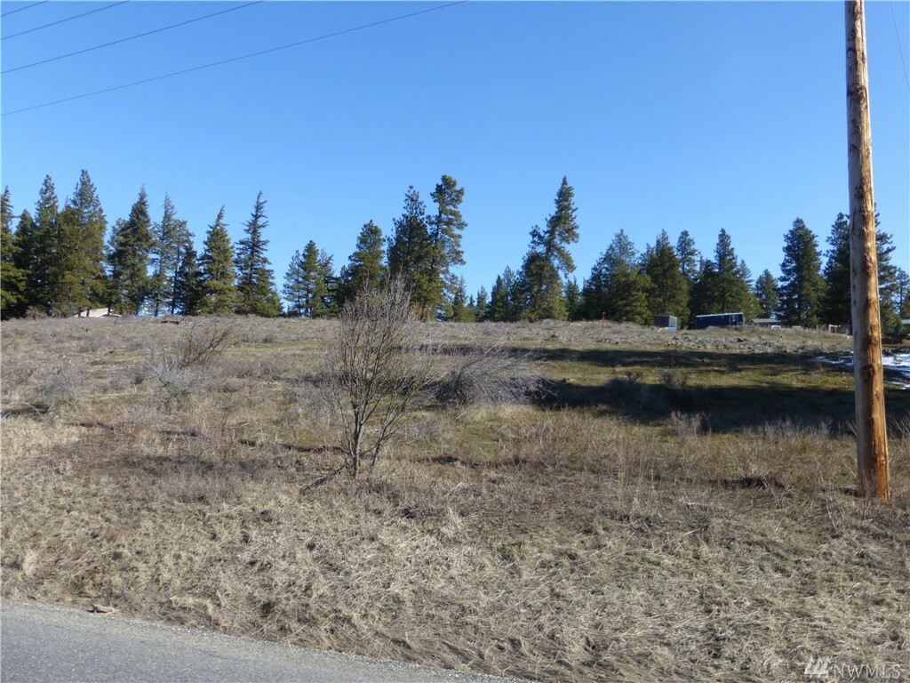 Property Photo:  Xxx Thorp Praire Road -Lot 2  WA 98922 