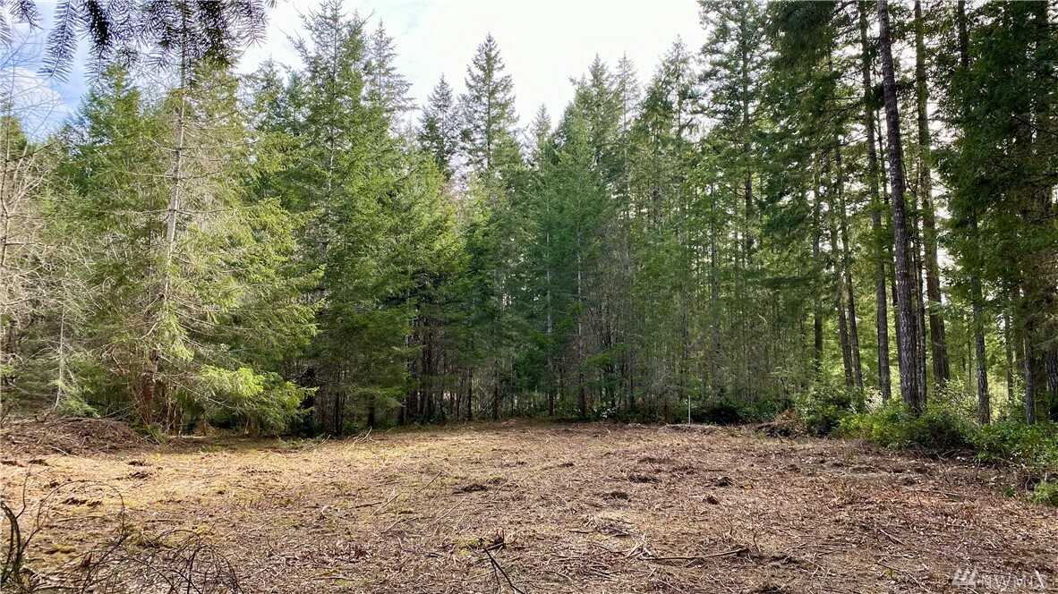 Property Photo:  14315 175th Ave NW  WA 98329 