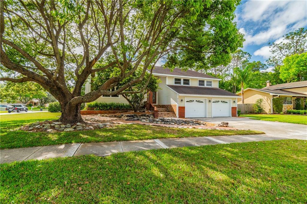 Property Photo:  3306 Tarpon Woods Boulevard  FL 34685 