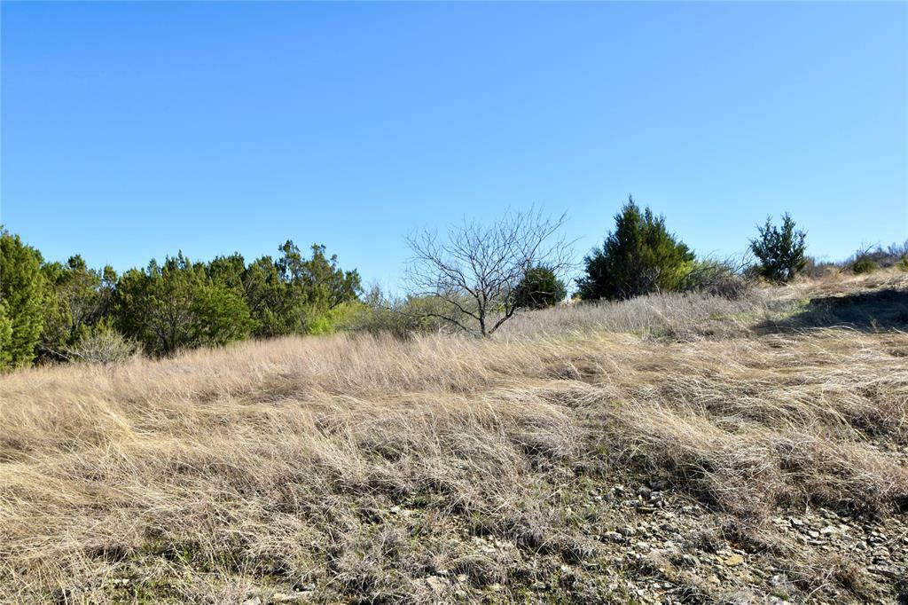 Property Photo:  3625 Beacon Lake Drive  TX 76433 