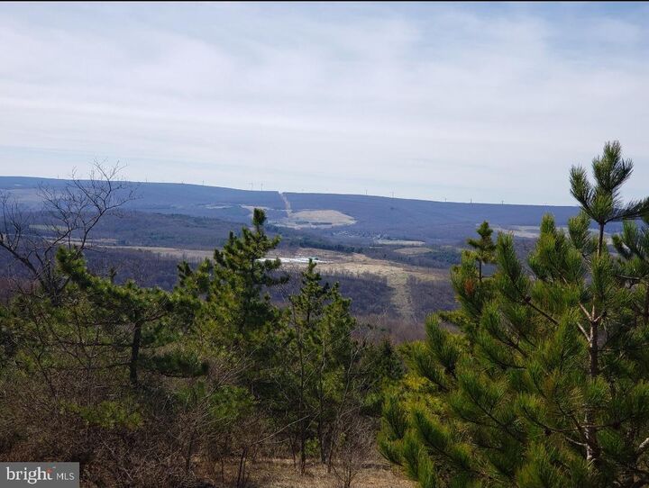 Property Photo: 12223 Summit Circle MD 21532